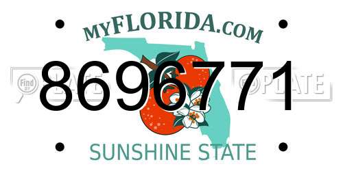 8696771 Florida License Plate