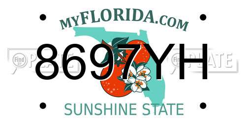 8697YH Florida License Plate