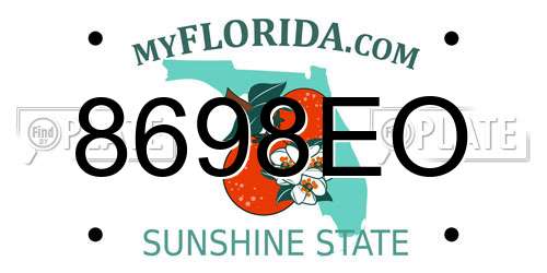 8698EO Florida License Plate