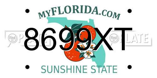 8699XT Florida License Plate
