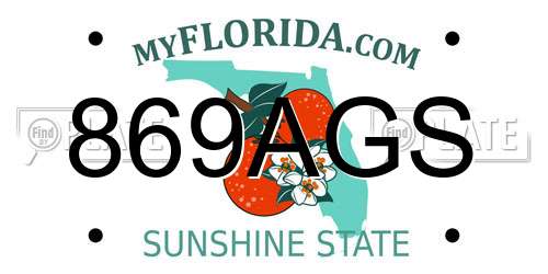 869AGS Florida License Plate
