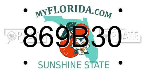 869B30 Florida License Plate