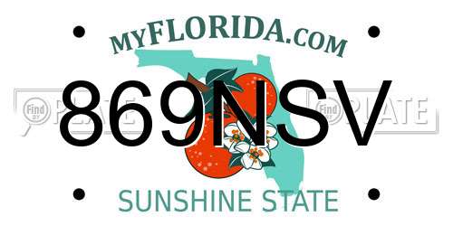 869NSV Florida License Plate