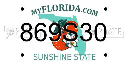 869S30 Florida License Plate
