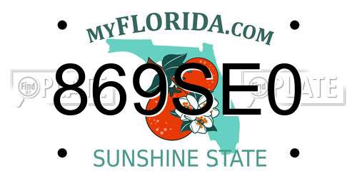869SE0 Florida License Plate