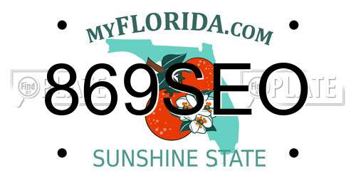 869SEO Florida License Plate