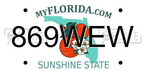 869WEW Florida License Plate