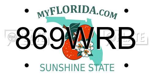 869WRB Florida License Plate
