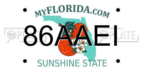 86AAEI Florida License Plate