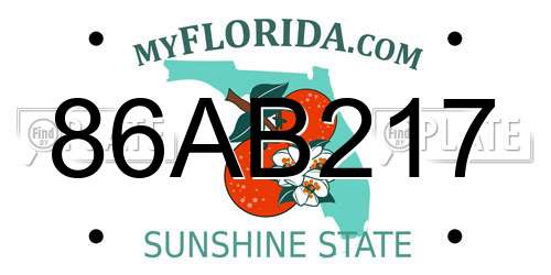 86AB217 Florida License Plate
