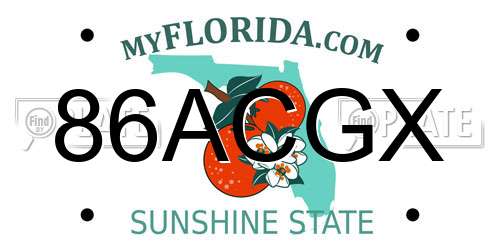86ACGX Florida License Plate