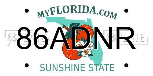 86ADNR Florida License Plate