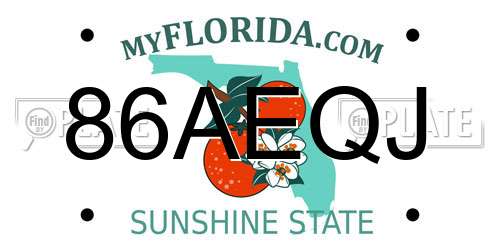 86AEQJ Florida License Plate