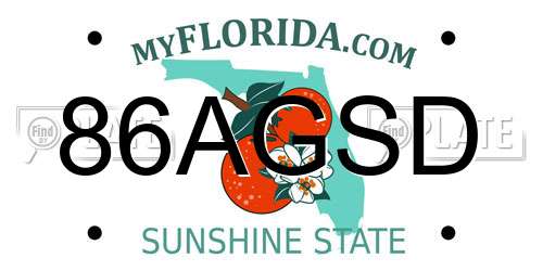 86AGSD Florida License Plate