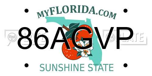 86AGVP Florida License Plate