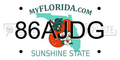 86AJDG Florida License Plate