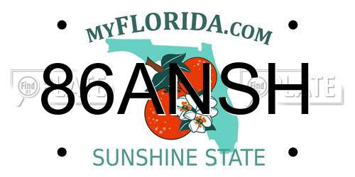 86ANSH Florida License Plate