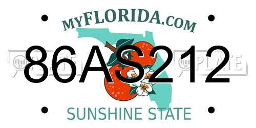 86AS212 Florida License Plate