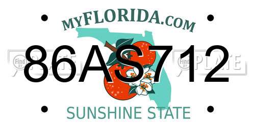 86AS712 Florida License Plate