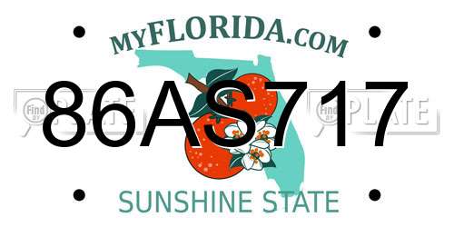 86AS717 Florida License Plate