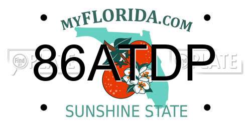 86ATDP Florida License Plate