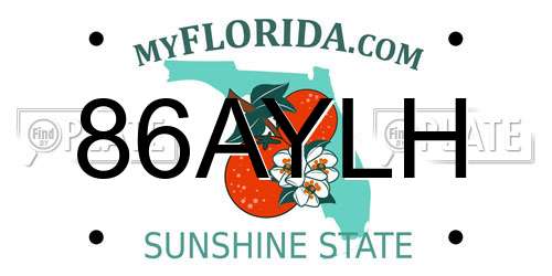 86AYLH Florida License Plate