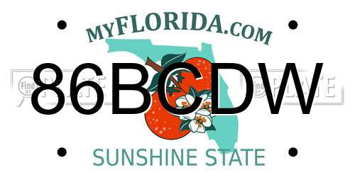 86BCDW Florida License Plate