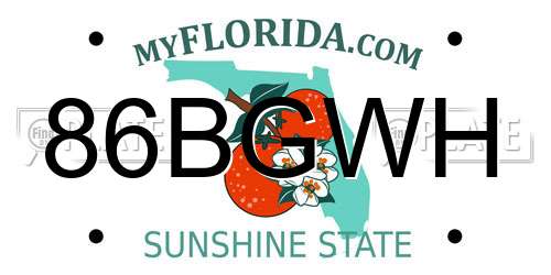 86BGWH Florida License Plate