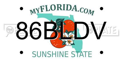 86BLDV Florida License Plate