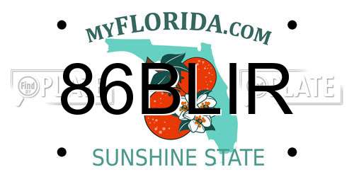 86BLIR Florida License Plate