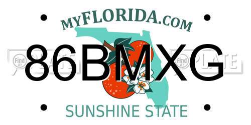 86BMXG Florida License Plate