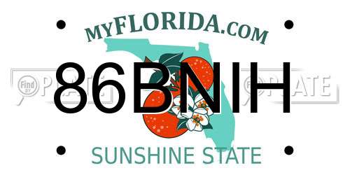86BNIH Florida License Plate