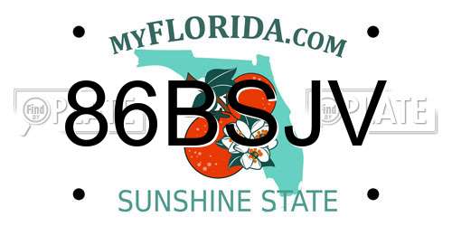 86BSJV Florida License Plate