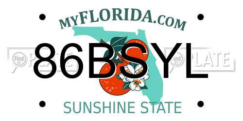 86BSYL Florida License Plate