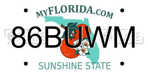 86BUWM Florida License Plate
