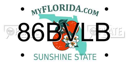 86BVLB Florida License Plate