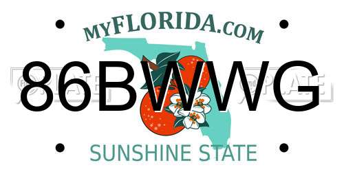 86BWWG Florida License Plate