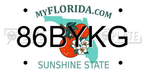 86BYKG Florida License Plate