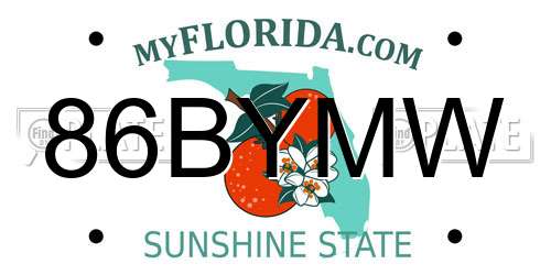 86BYMW Florida License Plate