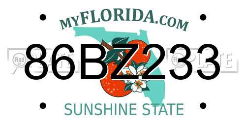 86BZ233 Florida License Plate