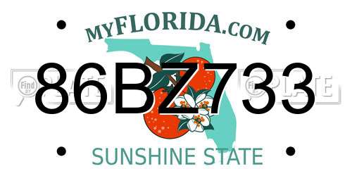 86BZ733 Florida License Plate