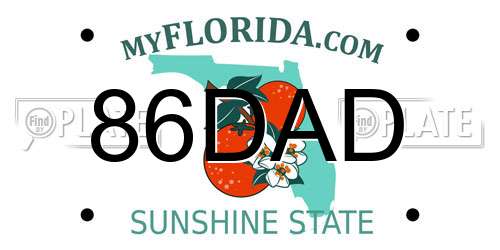 86DAD Florida License Plate