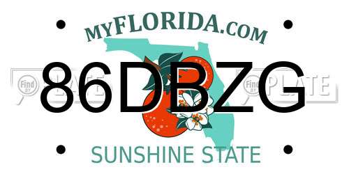 86DBZG Florida License Plate