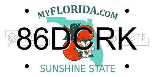 86DCRK Florida License Plate