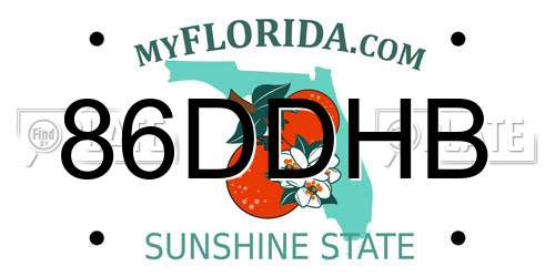 86DDHB Florida License Plate