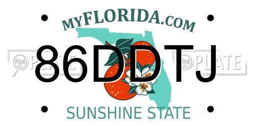 86DDTJ Florida License Plate