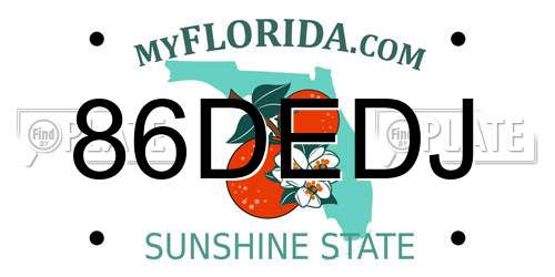 86DEDJ Florida License Plate