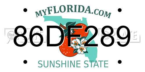 86DF289 Florida License Plate
