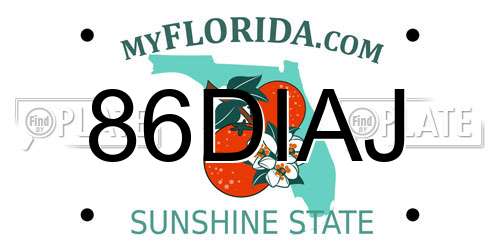 86DIAJ Florida License Plate