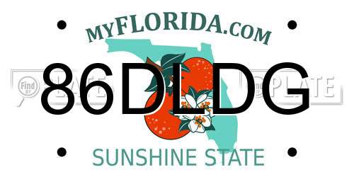 86DLDG Florida License Plate